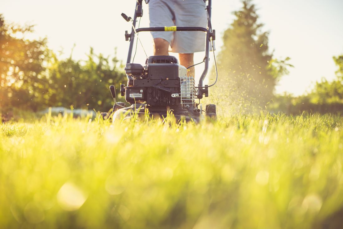 A lawn being mowed in golden evening light